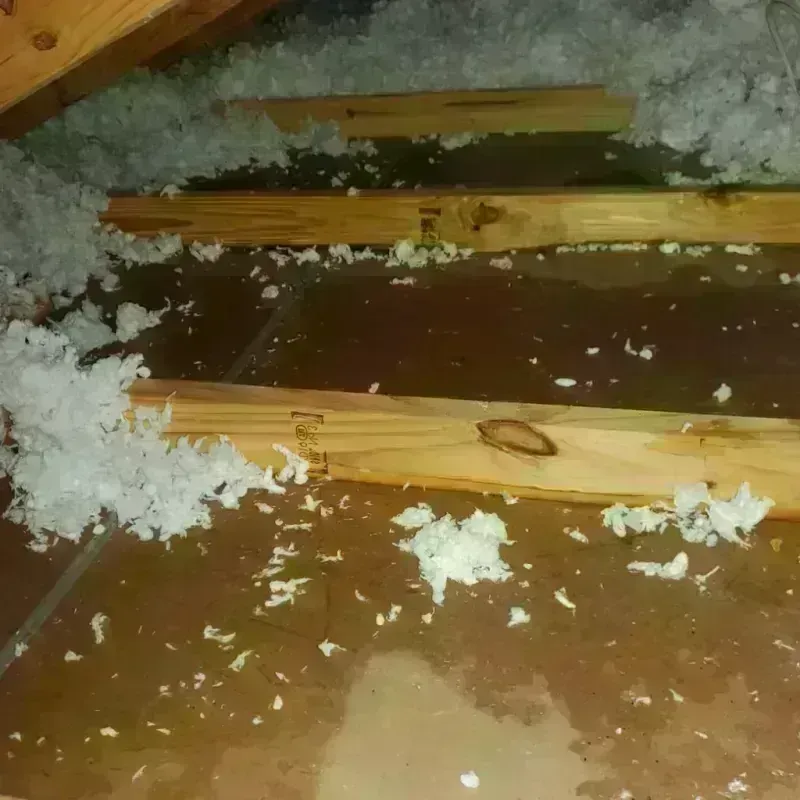 Attic Water Damage in Aberdeen, MS