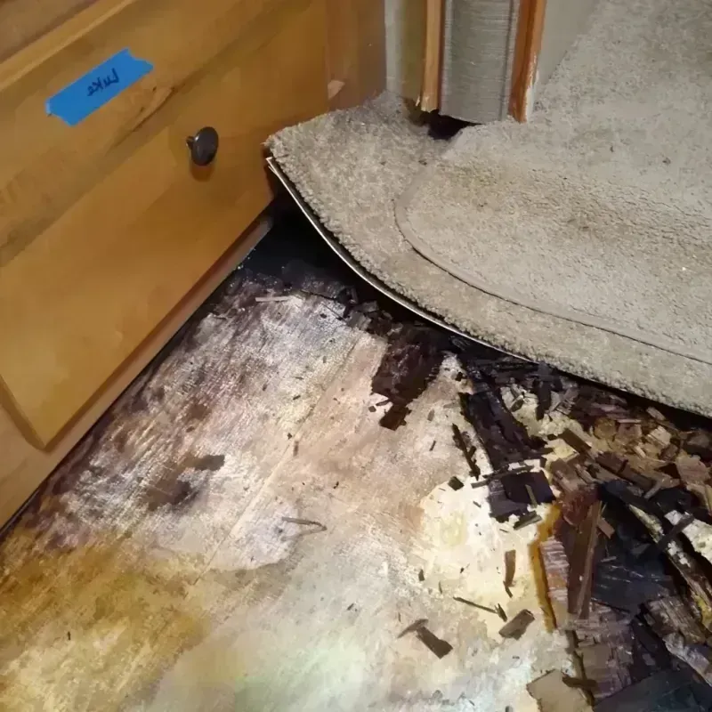 Wood Floor Water Damage in Aberdeen, MS